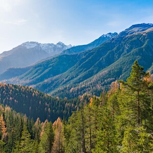 Les contreforts et les montagnes de la Suisse orientale sont couverts de forêts | Art mural photographique original