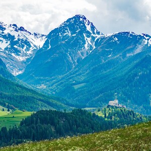 May include: A scenic landscape featuring snow-capped mountains, lush green forests, and a distant castle. The sky is overcast, and the foreground is filled with wildflowers, creating a picturesque view of nature.