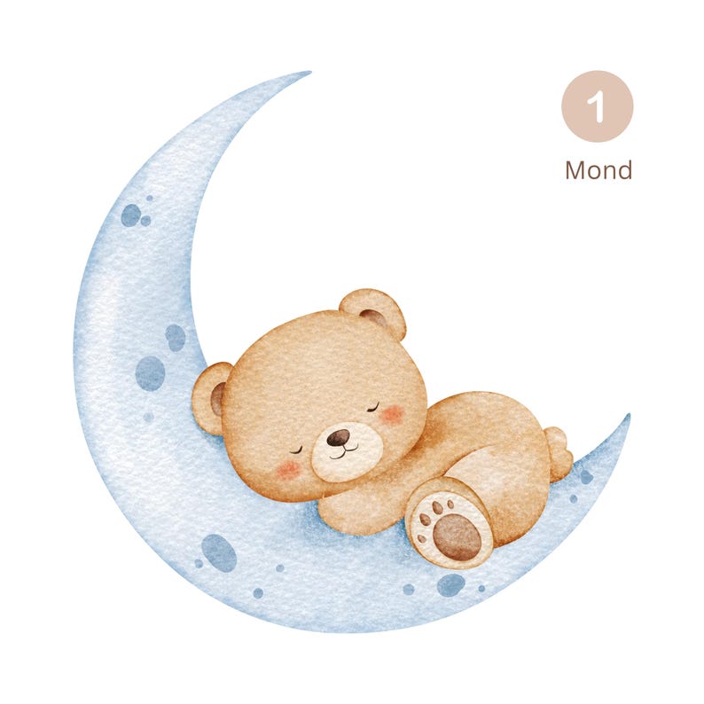Unisex Babybody Bio Baumwolle | Baby Strampler Junge & Mädchen | 6 Teddy Bär Motiv | Geschenk zu Geburt und Taufe | bild 4