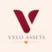 VELO ASSETS