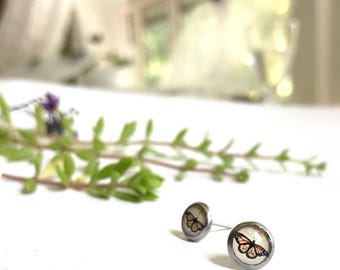 Monarch Butterfly Stud Earrings: Surgical Steel, Resin Print