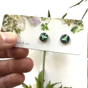Luna Moth Stud Earrings, Luna Earrings, Stud Earrings,  Hypoallergenic Posts