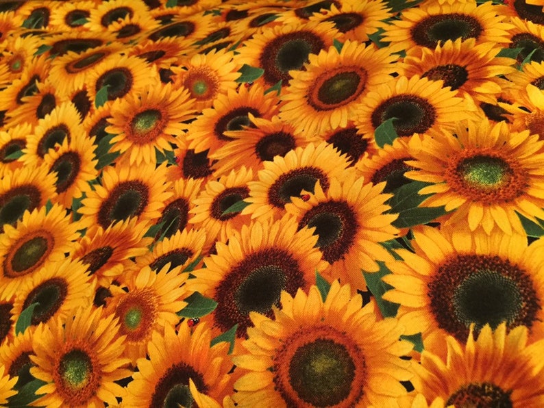 Sunflower Cloth Dinner Napkins, Cottagecore Farmhouse Home Decor, Reusable Washable, Sunflowers Floral Spring Summer Table Cloths image 7