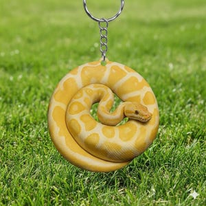 May include: A yellow and cream-colored snake keychain with a coiled design. The snake has a detailed pattern and is attached to a silver keyring and chain. The background is green grass.