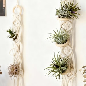 Macramé plantenhanger, kleine pannenlap aan de muur, Boho Cadeaus plantenliefhebber