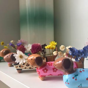Op de afbeelding: Een verzameling teckelvormige keramische plantenbakken, elk beschilderd met unieke patronen en kleuren, waaronder een roze bloemenpatroon, een luipaardprint en een blauw kersenpatroon. De plantenbakken bevatten kleine boeketten van gedroogde bloemen.