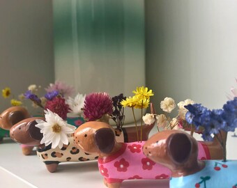 May include: A collection of dachshund-shaped ceramic planters, each painted with unique patterns and colors, including a pink floral design, a leopard print, and a blue cherry pattern. The planters hold small bouquets of dried flowers.