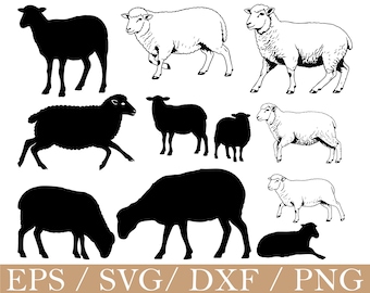 Får Svg, Får Silhuett, Dxf, Png