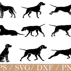 Pode incluir: Uma coleção de nove silhuetas pretas de um cão em várias poses, incluindo em pé, a correr, sentado e deitado. O texto EPS / SVG / DXF / PNG é apresentado na parte inferior da imagem numa fonte sem serifa clara.