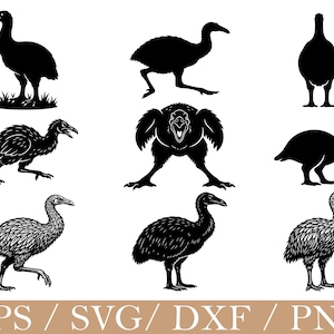 Könnte beinhalten: Eine Sammlung von neun schwarz-weißen Illustrationen, die verschiedene Posen eines Moa-Vogels zeigen, einschließlich Silhouetten und detaillierter Federdarstellungen, mit dem Text EPS / SVG / DXF / PNG am unteren Bildrand.