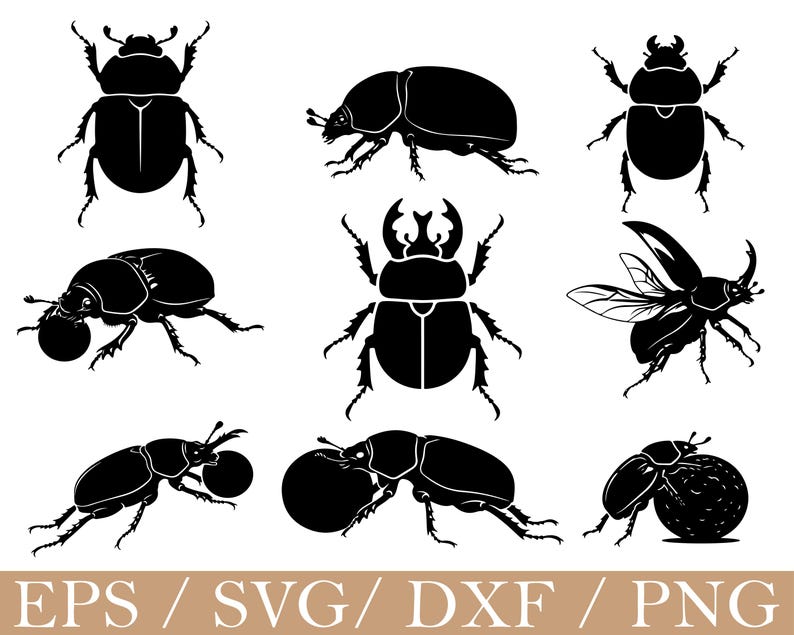 Insect Dxf Dung Beetle SVG, Png, Dxf - Etsy