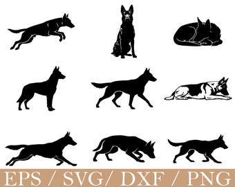 Belgische Mechelaar hond Svg, dxf, png