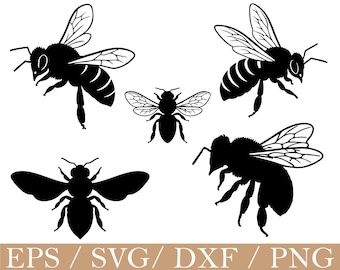 Bijensvg, bijensilhouet, dxf, png