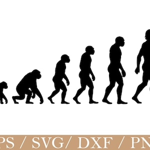 Könnte beinhalten: Schwarze Silhouette-Grafik, die die menschliche Evolution darstellt. Das Bild zeigt eine Abfolge von Figuren, beginnend mit einer affenähnlichen Form und fortschreitend zu einem modernen Menschen. Die Figuren sind vor einem weißen Hintergrund dargestellt.