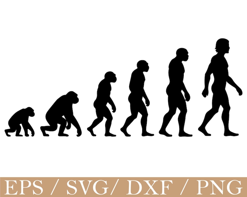 Human Evolution Svg, Dxf, Png - Etsy