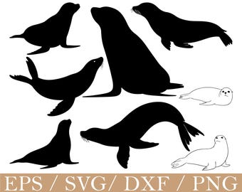 Seal Svg, Seal Silhouette, Dxf, Png