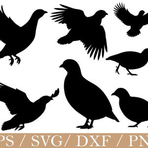 May include: A set of black bird silhouettes in different poses, including flight and standing. The birds have detailed wing and tail feathers. The image includes the text "EPS / SVG / DXF / PNG" at the bottom.