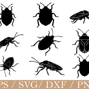 Puede incluir: Una colección de nueve siluetas negras de chinches en varias posiciones, incluyendo vistas desde arriba y de lado, que muestran los distintivos cuerpos en forma de escudo, las antenas y las patas de los insectos sobre un fondo blanco.