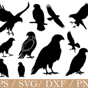 Puede incluir: Una colección de siluetas negras de águilas en varias poses, incluyendo volando y posadas. La imagen presenta múltiples contornos de aves, adecuados para proyectos de diseño digital. La parte inferior de la imagen muestra el texto "EPS / SVG / DXF / PNG".