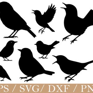 May include: A collection of eight black bird silhouettes in various poses, including standing, singing, and in flight. The birds are depicted with detailed outlines, set against a white background. The image includes the text "EPS / SVG / DXF / PNG".
