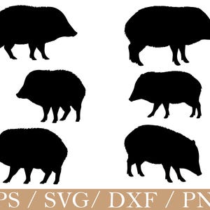May include: Black silhouette images of wild boars in various poses. The images are suitable for use in digital design projects. The bottom of the image contains the text "EPS / SVG / DXF / PNG".