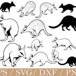 May include: A digital illustration featuring multiple bilby designs in black and white. The image includes both silhouette and detailed line drawings of the bilby. Text at the bottom reads "EPS / SVG / DXF / PNG".