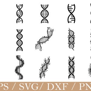 May include: A collection of black and white DNA strand designs in various styles. Some strands are simple, while others feature floral or decorative elements. The image includes the text "EPS / SVG / DXF / PNG".