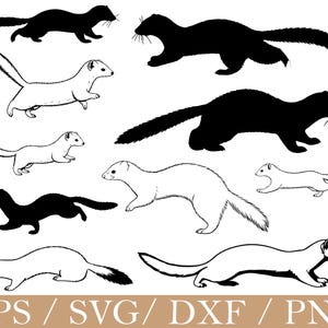 May include: A selection of weasel illustrations in black and white. The image shows different poses of the animal, some in silhouette and others with detailed outlines. The text at the bottom reads "EPS / SVG / DXF / PNG".