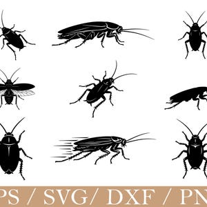 May include: A collection of black cockroach illustrations in various poses, including side views, top views, and one with wings spread. The image includes the text "EPS / SVG / DXF / PNG" at the bottom.