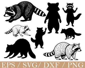 Raccon Svg, Raccon Silhouette, Dxf, Png