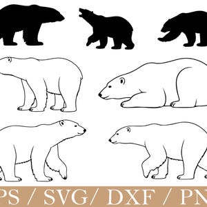 Polar Bear Svg, Polar Bear Silhouette, Dxf, Png