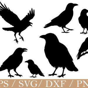 May include: Black raven silhouettes in various poses, including flying, standing, and perched. The image features multiple crow illustrations, perfect for digital art projects or crafting. The bottom of the image includes the text "EPS / SVG / DXF / PNG".