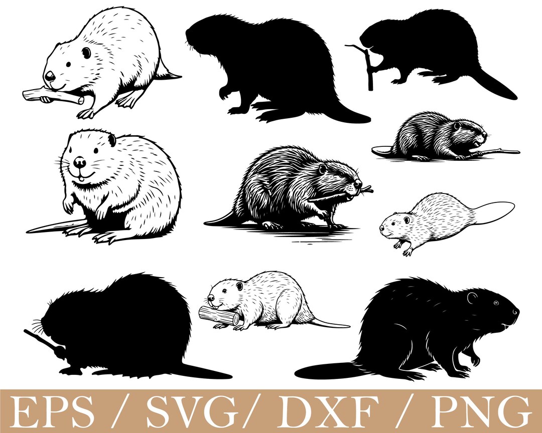 Beaver Svg, Beaver Silhouette, Dxf, Png - Etsy