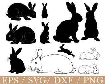 Rabbit Svg, Rabbit Silhouette, Dxf, Png