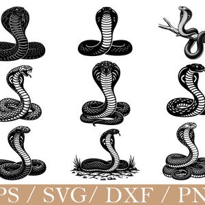 May include: Nine black and white illustrations of cobras in different poses. Some are coiled, others have their hoods expanded, and one is on a branch. The image also features the text "EPS / SVG / DXF / PNG".