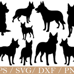 Bouvier australien Svg, Silhouette de bouvier australien, Dxf, Png