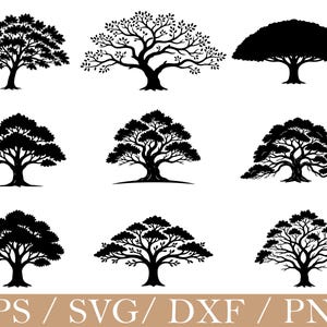 May include: A collection of nine black tree silhouettes in various styles, including detailed branches and solid forms. The image includes the text "EPS / SVG / DXF / PNG" at the bottom, suggesting digital design files.