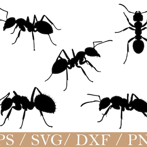以下が含まれることがあります： 白い背景に黒いアリのシルエット。この画像には、さまざまなポーズのアリのイラストが5つあり、体の節、触角、脚が描かれています。画像の下部には「EPS / SVG / DXF / PNG」というテキストが含まれています。