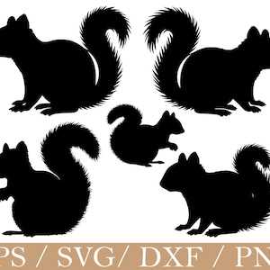 May include: Black squirrel silhouettes in various poses, including sitting and standing, with fluffy tails. The image includes the text "EPS / SVG / DXF / PNG" at the bottom, suggesting digital design files.