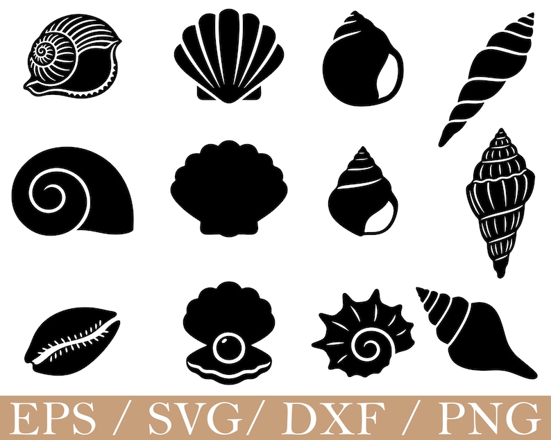 Picture of Seashells Svg, Seashells Silhouette, Dxf, Png - Etsy