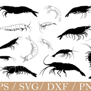 Puede incluir: Ilustraciones de camarones en varias poses, algunas en negro sólido y otras delineadas en blanco. La imagen incluye el texto "EPS / SVG / DXF / PNG" en la parte inferior, sugiriendo archivos de diseño digital.