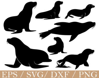 Sea Lion Svg, Sea Lion Silhouette, Dxf, Png