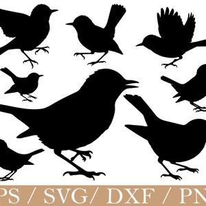 Könnte beinhalten: Acht schwarze Vogelsilhouetten in verschiedenen Posen, darunter fliegend und sitzend. Die Vögel sind detailliert dargestellt, mit Flügeln, Schnäbeln und Füßen. Am unteren Bildrand steht der Text "EPS / SVG / DXF / PNG", der Dateiformate angibt.