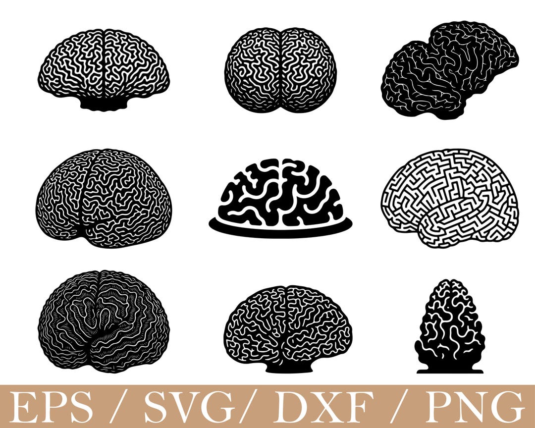 Brain Pattern Dxf Brain Coral Svg, Dxf, Png - Etsy