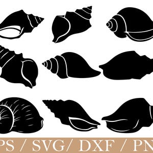 Puede incluir: Una colección de nueve siluetas negras de conchas marinas en varias formas y tamaños. La imagen incluye el texto "EPS / SVG / DXF / PNG" en la parte inferior. Estos gráficos son adecuados para proyectos de manualidades con temática de playa u océano.