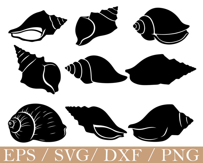Conch Shell Svg, Dxf, Png - Etsy Canada