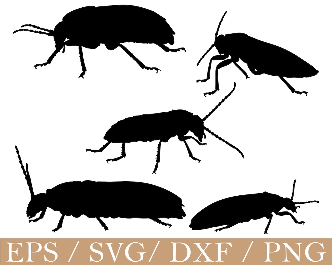 Sugarcane Insect Svg, Sugarcane Insect Silhouette, Dxf, Png - Etsy ...