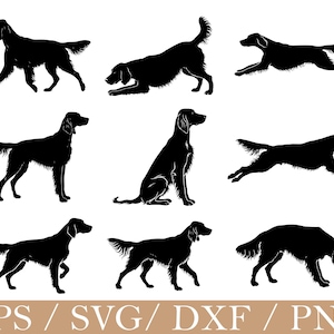 Op de afbeelding: Een verzameling van negen zwarte silhouetten van setterhonden in verschillende houdingen, waaronder staand, zittend, rennend en buigend. Onderaan de afbeelding staat de tekst EPS / SVG / DXF / PNG in wit lettertype op een lichtbruine achtergrond.