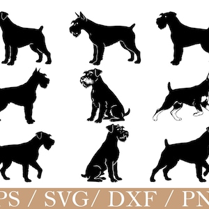 Op de afbeelding: Een verzameling van negen zwarte silhouetten van Schnauzer-honden in verschillende staande, zittende en lopende houdingen. De grafische set bevat onderaan de tekst EPS / SVG / DXF / PNG, die verschillende digitale bestandsformaten voor de afbeelding vertegenwoordigt.