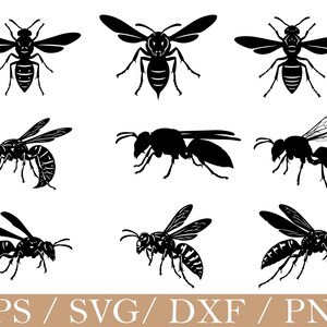 May include: A collection of nine black silhouette illustrations of wasps and hornets in various poses, including top-down and side profiles, with wings spread or folded, arranged in a grid pattern with the text EPS / SVG / DXF / PNG at the bottom.